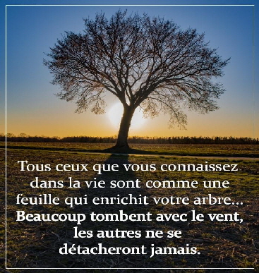 Arbre avec pome