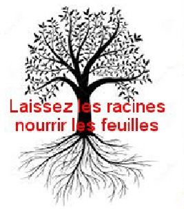 Arbre feuilles et racine