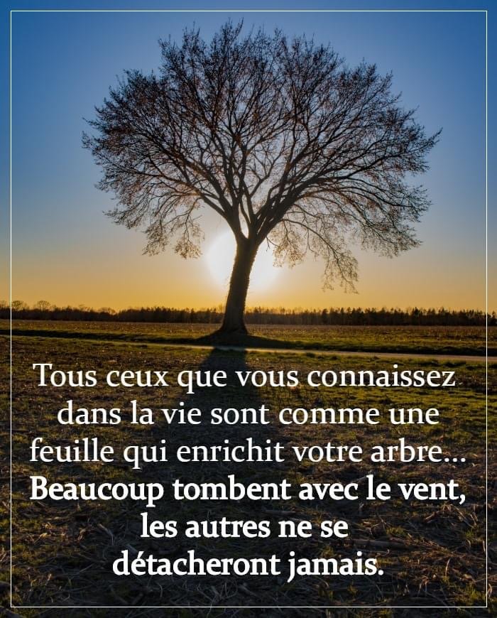 Arbre avec pome