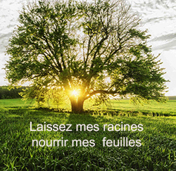 Arbre et feuilles
